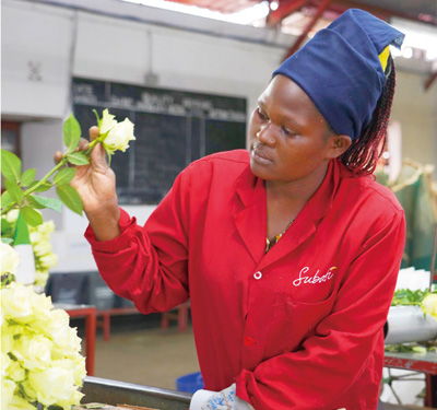 为非洲实现现代化创造机遇——访肯尼亚总统鲁托谈苗木种植