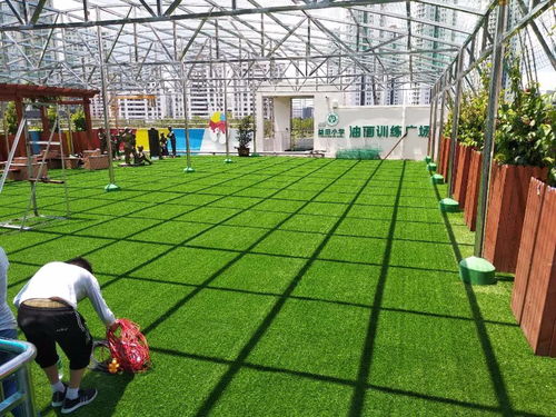 深圳仿真草坪植物墙花草绿植装饰工厂直销环保低碳上门安装