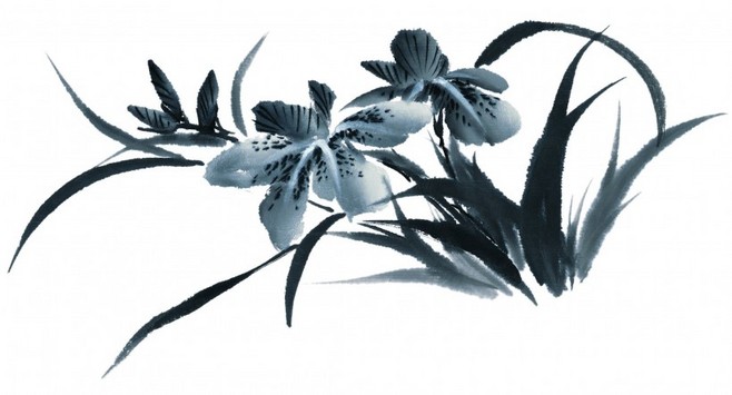 水墨花卉画作赏析与苗木种植技术概述