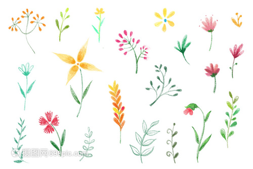 手绘花卉与苗木种植 艺术与自然的和谐共生